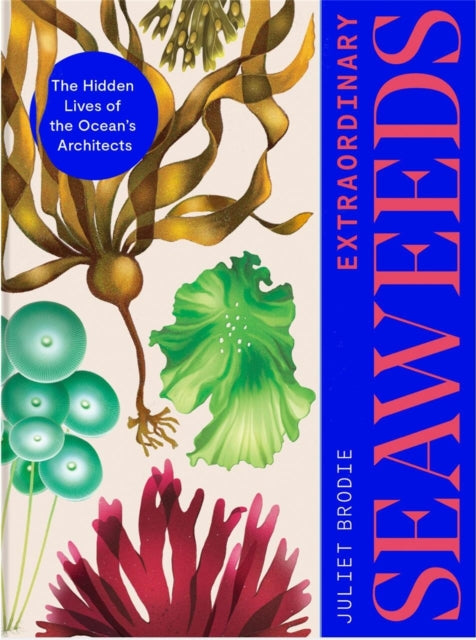 Extraordinary Seaweeds : The hidden lives of the ocean's architects-9781529427431