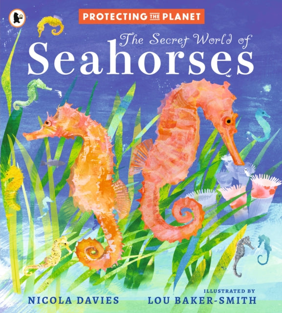 Protecting the Planet: The Secret World of Seahorses : A fact-filled picture book for animal-loving kids from bestselling zoologist Nicola Davies, perfect for ages 5-8-9781529522815